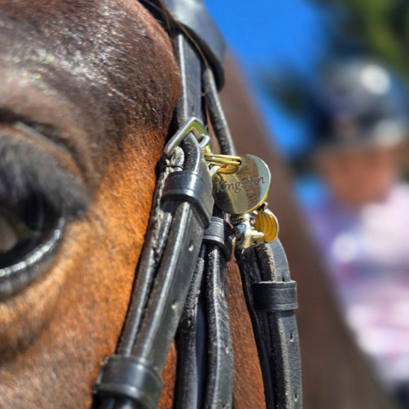 Brass Circle Horse Tack Tag - 20 mm - Custom Engraved - Bridle | Blanket | Halter