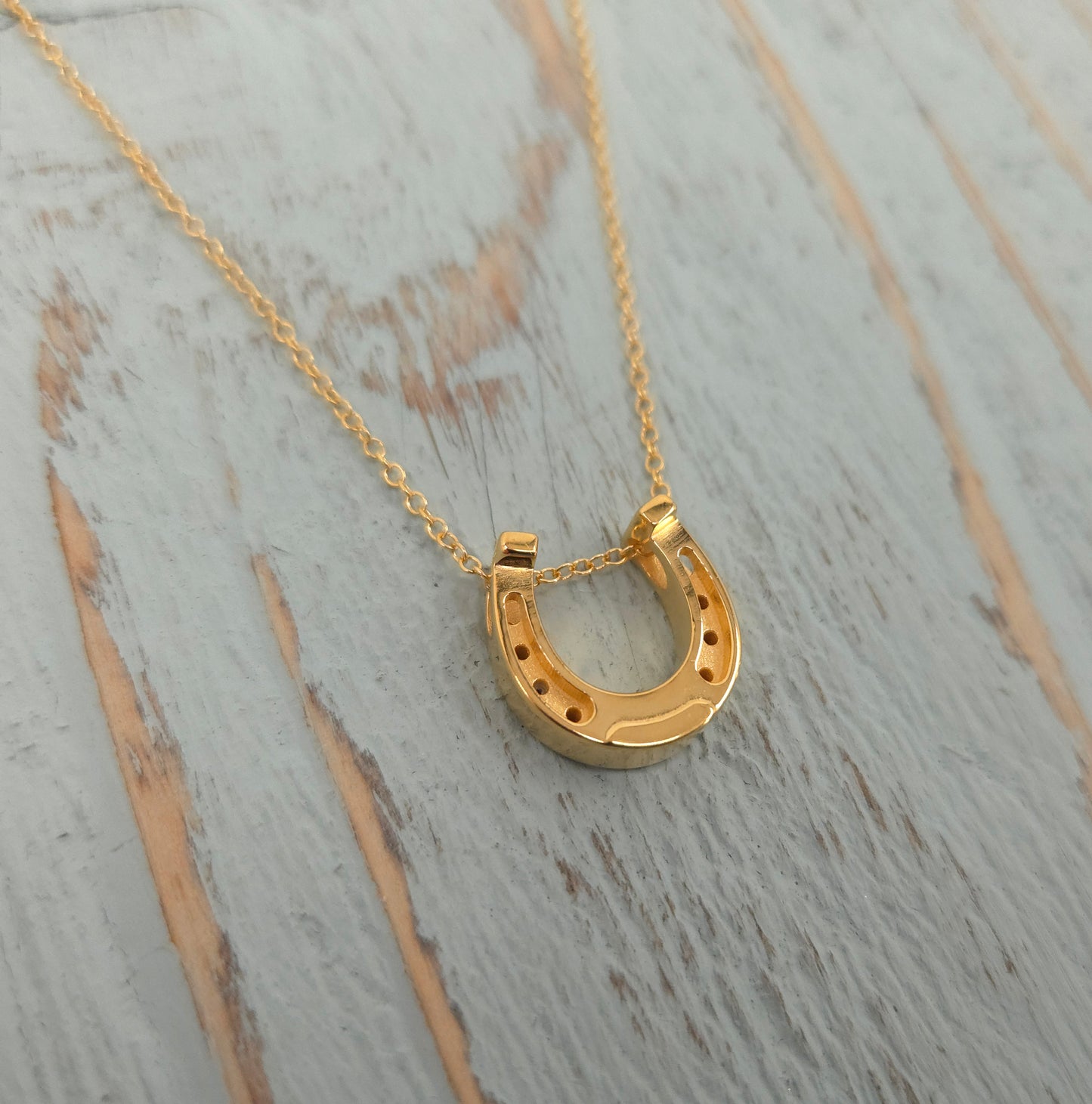 Lucky Horseshoe Gold Sterling Silver Necklace