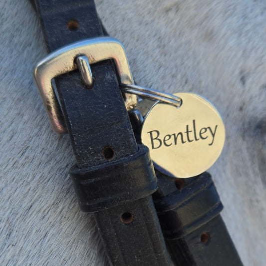 5 Pack - Stainless Steel Circle Horse Tack Tags - 20mm