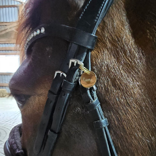 Custom Engraved Bridle Tag 20mm – Brass