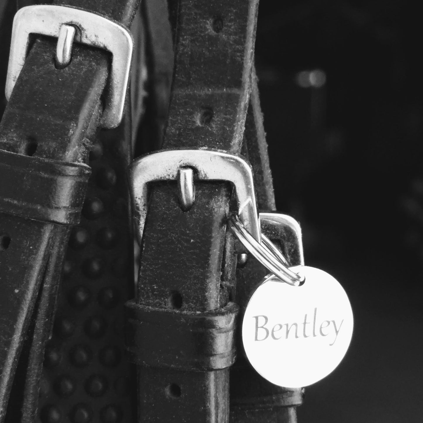 Custom Engraved Bridle Tag 20mm – Stainless Steel